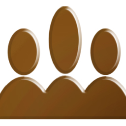 256 x 256 brown group png icon image