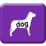96  x 96 purple name jpg icon image