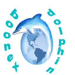 256 x 256 teal community boonex dolphin gif icon image