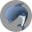  32 x 32 gray boonex dolphin gif icon image
