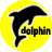  48  x 48 yellow jpg boonex dolphin icon image